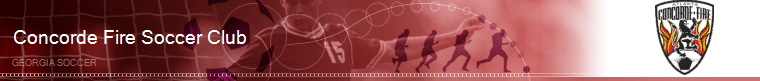 Georgia Soccer banner